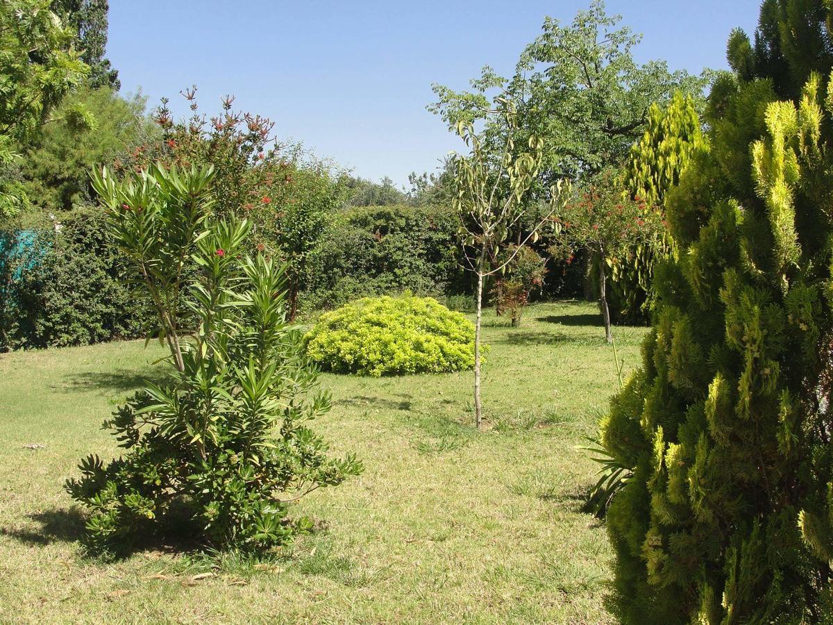 Apart Hotel Chilecito Dış mekan fotoğraf